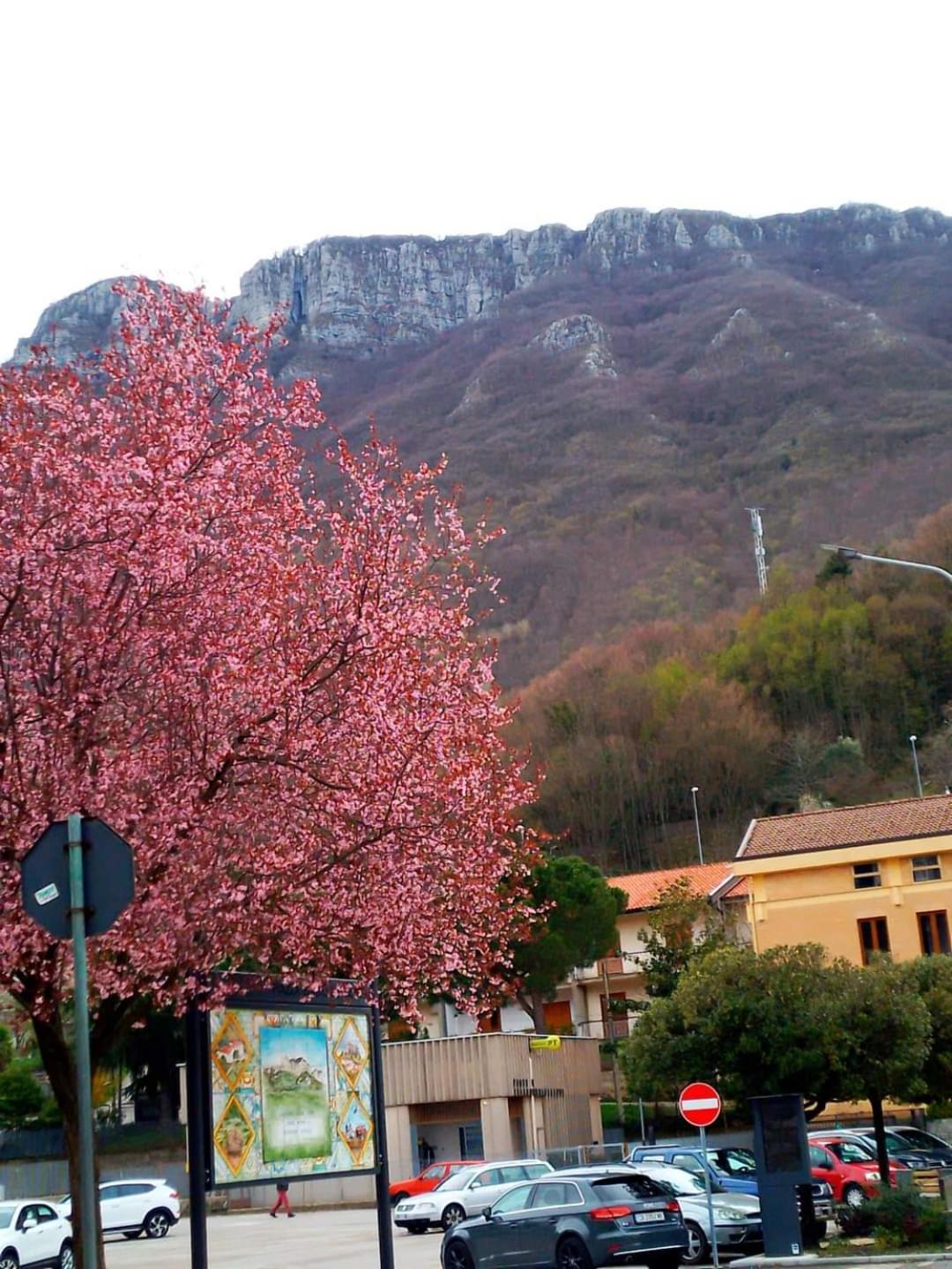 Sapori E Sapere Di Troisi Margherita Sicignano degli Alburni Dış mekan fotoğraf