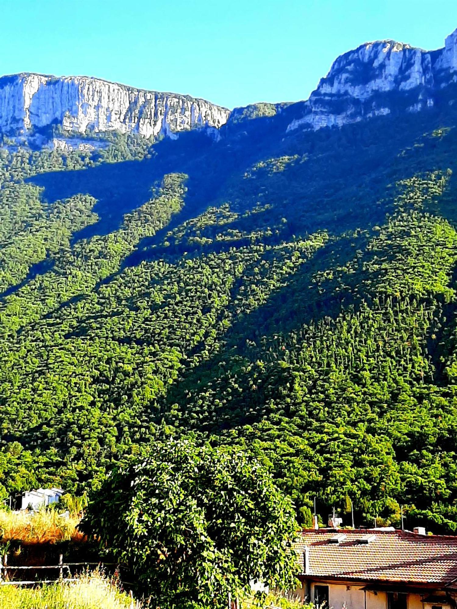 Sapori E Sapere Di Troisi Margherita Sicignano degli Alburni Dış mekan fotoğraf